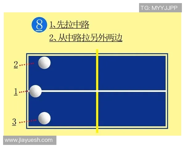 杭州飞盘队战术深度剖析与实战应用探讨